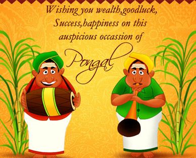 cards on pongal
