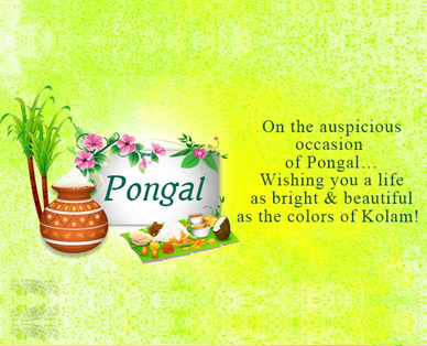 greeting on pongal