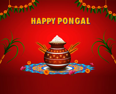 pongal picture