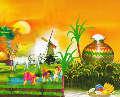 pongal pictures