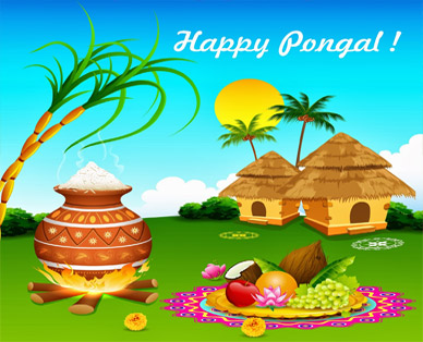 pictures on pongal
