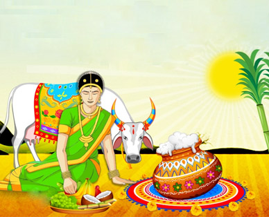 picture for pongal